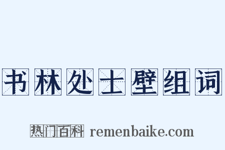 书林处士壁组词是什么意思的图片